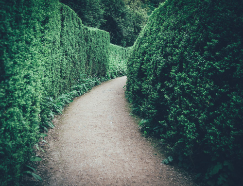 Come affrontare un tradimento?